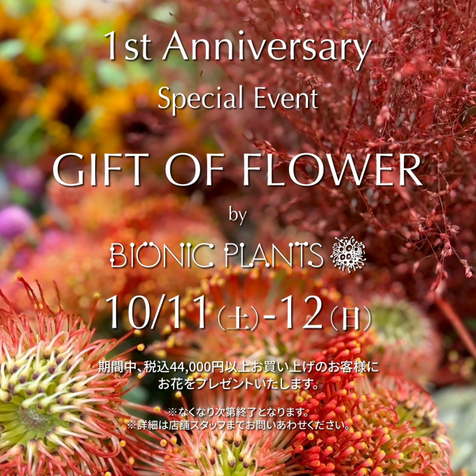 【未使用】ダブルスタンダードクロージング♡ソブ　女優襟♡ビッグカラージャケット Amazon | [ダブルスタンダードクロージング] Sov.襟付きダル糸