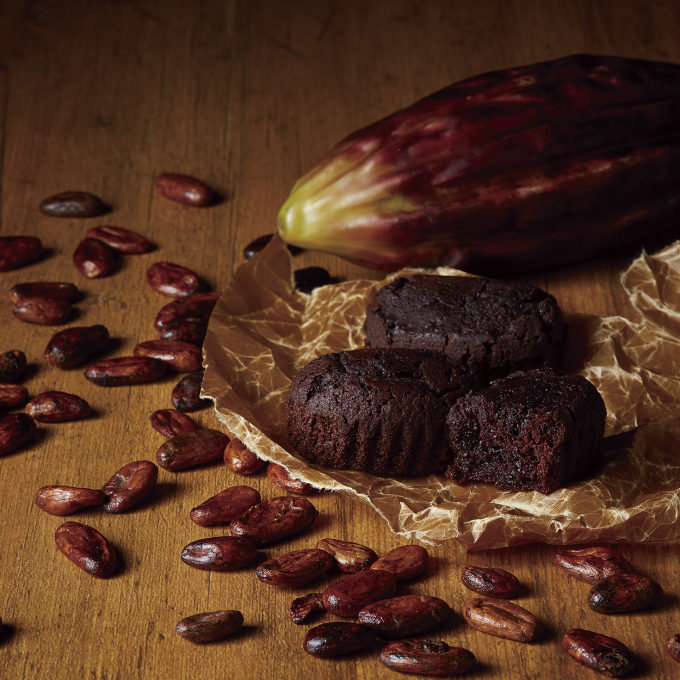 amine(アマイン)からのおしらせ