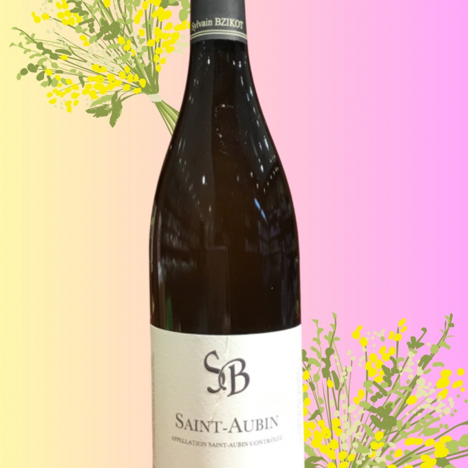 🍷今月のセラーワイン🍷  2021 シルヴァン　ビズコット　サン　トーバン