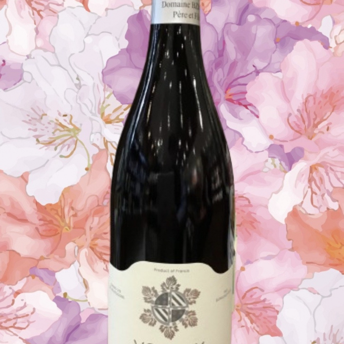 🍷今月のセラーワイン🍷 2021&nbsp; ドメーヌ　ビズコット　ヴォルネイ