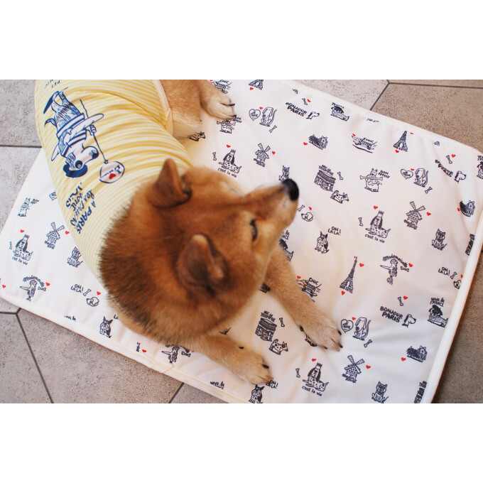 〈PET SO CHIC〉春の新作アイテム