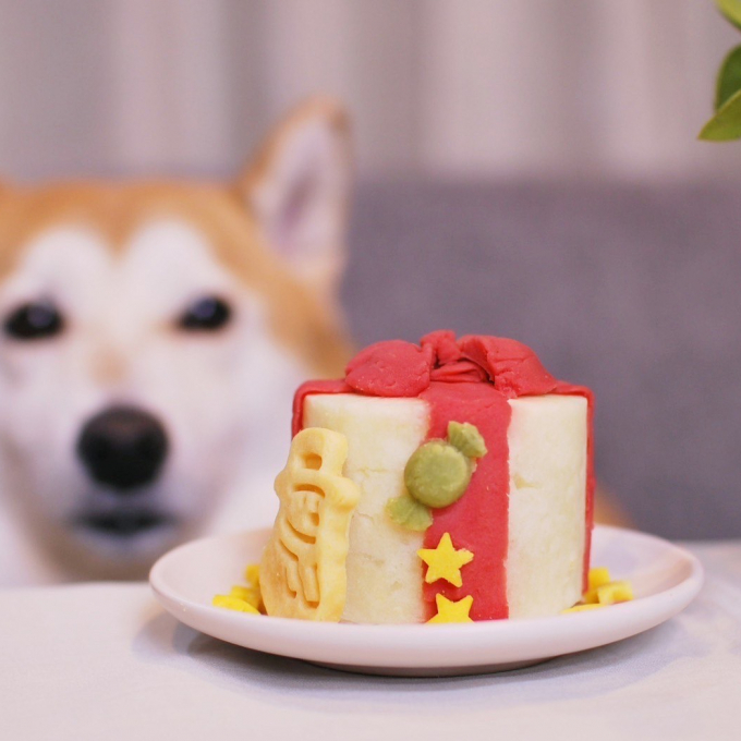 愛犬用 クリスマスケーキ
