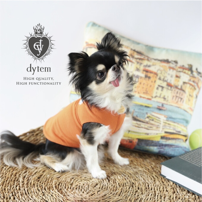 〈dytem〉shade 新色入荷のお知らせ