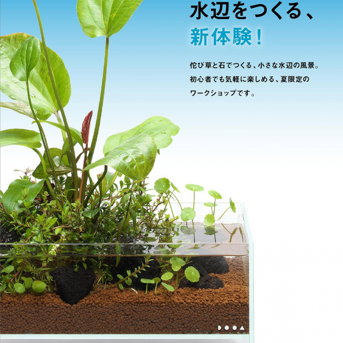 「水辺をつくる」夏限定ワークショップ開催！