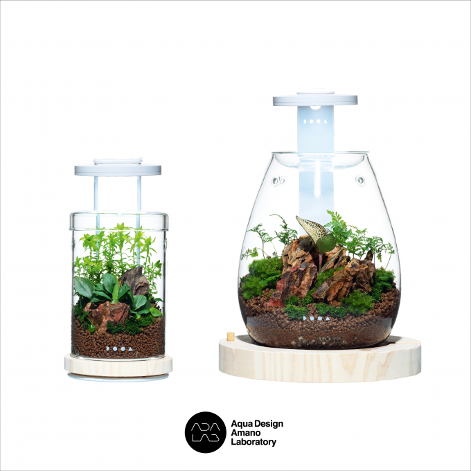 〈ADA LAB TOKYO〉ミニパルダリウム ワークショップのご紹介