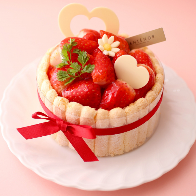 【アンテノール】大切な方に幸せを届けるホワイトデー