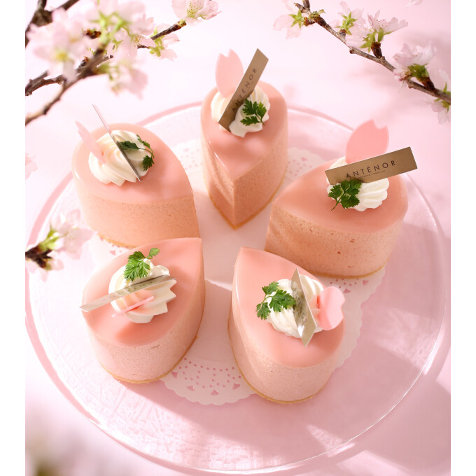 【アンテノール】🌸春満開　お花見スイーツ🌸