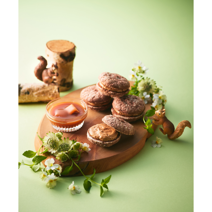 【アンテノール】カカオの森と動物たちの物語～冬限定のショコラの焼き菓子