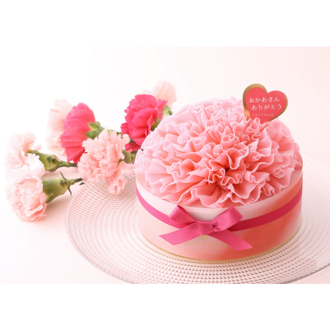 【アンテノール】カーネーションのケーキ、ご予約受付中✨