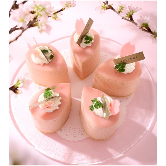【アンテノール】🌸お花見スイーツ🌸桜と紅茶のケーキ