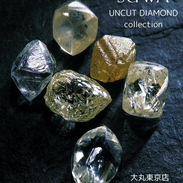 定番 | 大丸東京店公式 SHOP BLOG