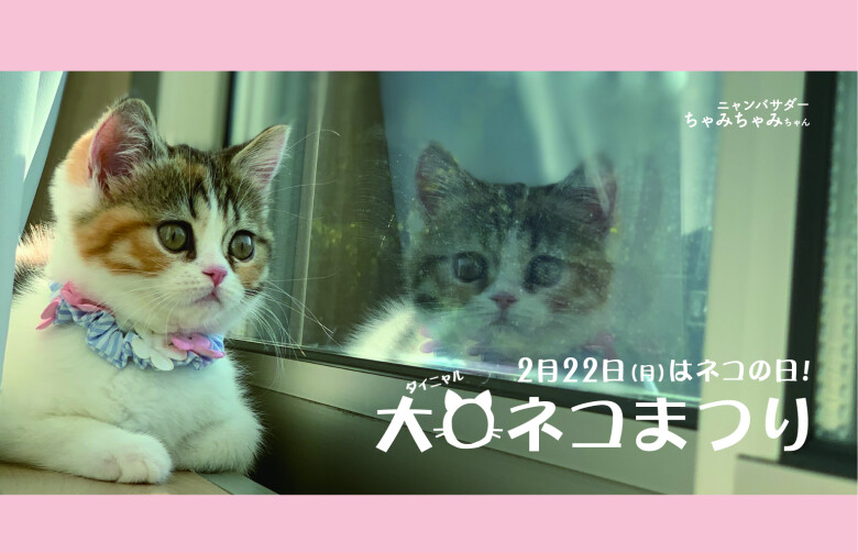 かわいいネコグッズ＆ネコフーズが勢ぞろい♪