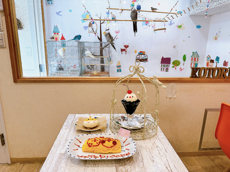 ことりカフェ 上野本店】カラフルでキュートな鳥たちに出会える癒し系