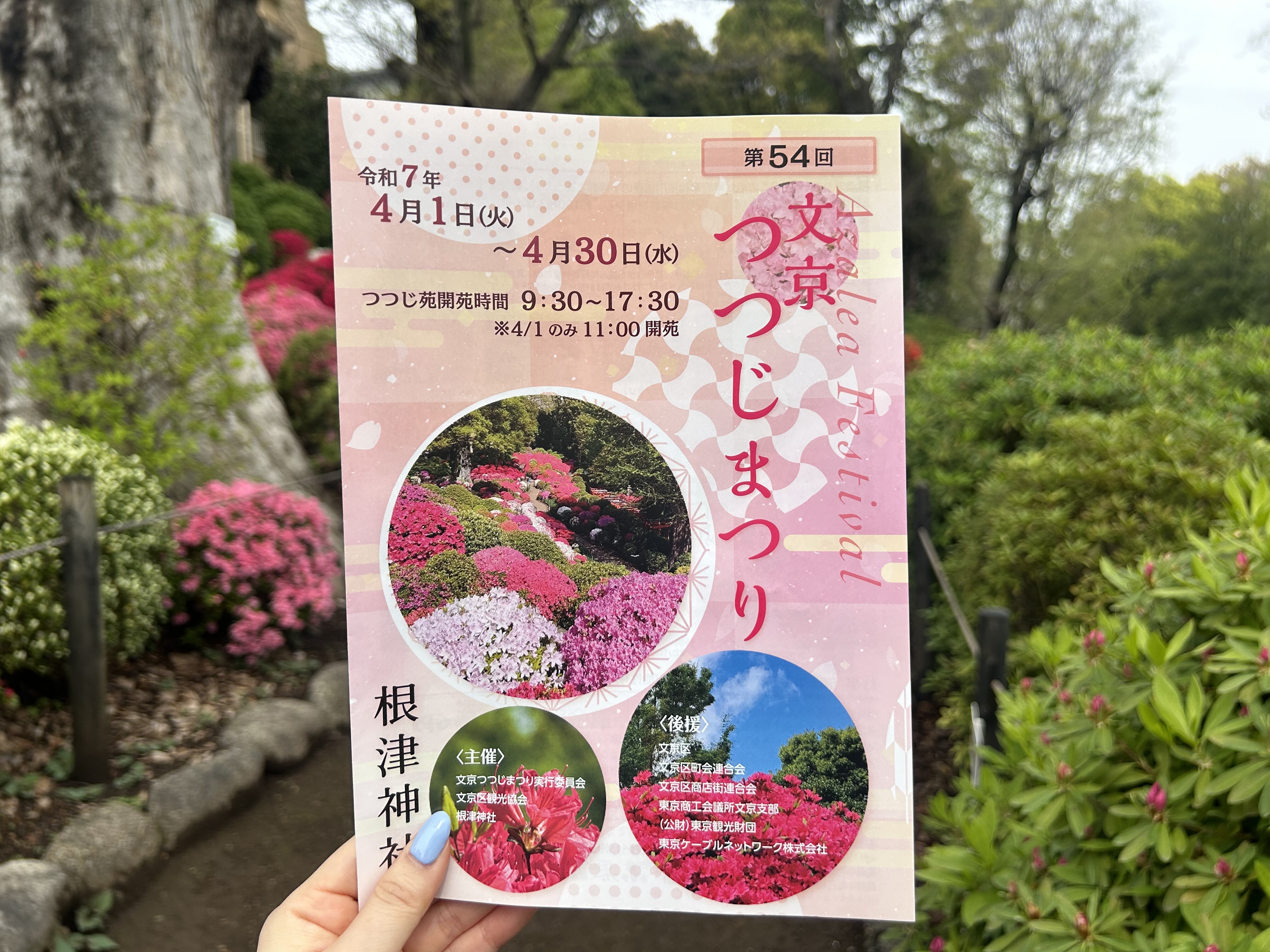 根津神社】2025年もいろとりどりのつつじが咲き誇ります！ | 上野が