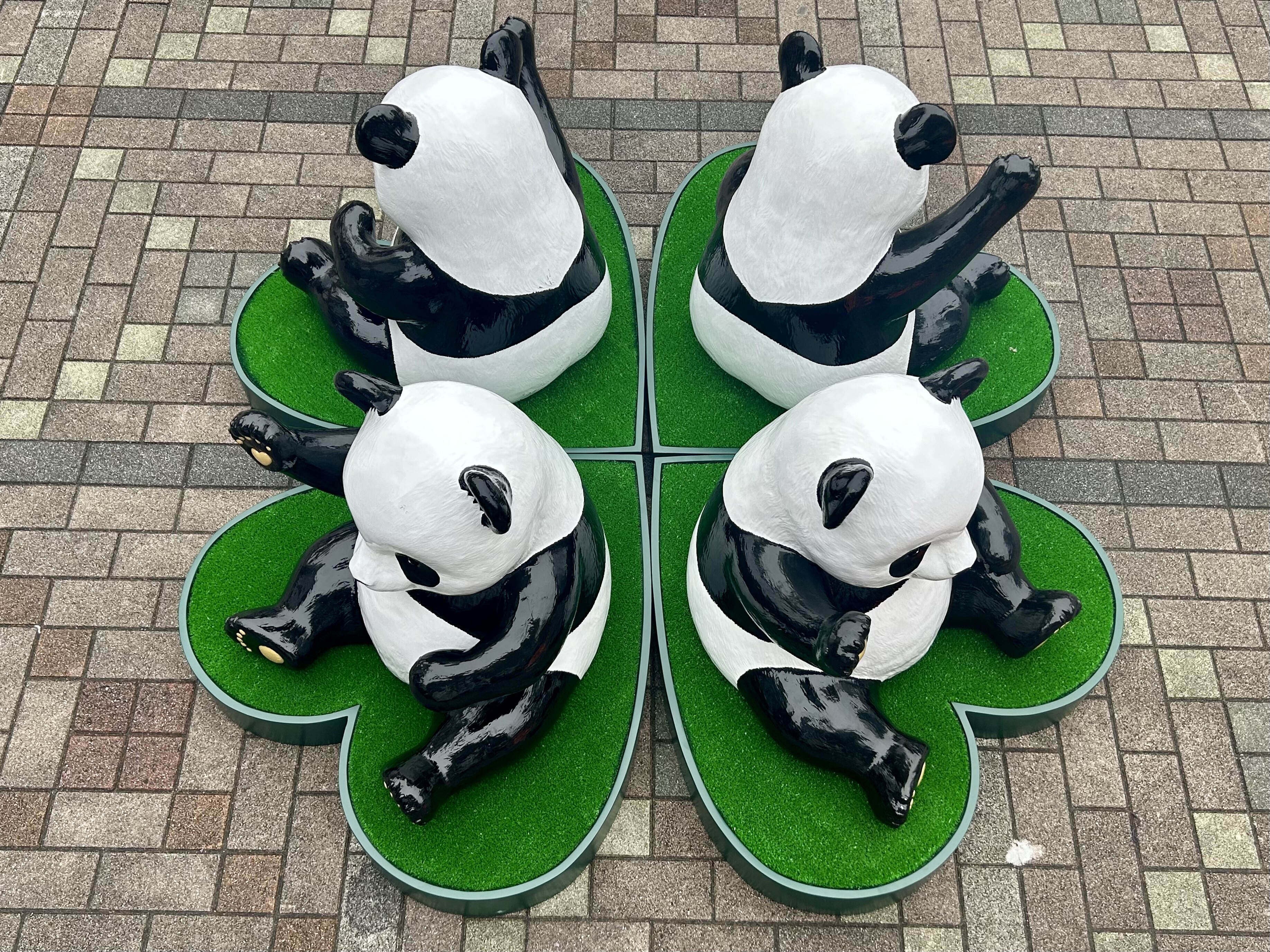 パンダの工房174 パンダ広場の子パンダたちがぴかぴかになって帰ってきた！ | 上野が