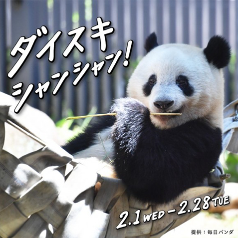 松坂屋、パルコヤ、アトレ】上野エリアでシャンシャンイベントを開催