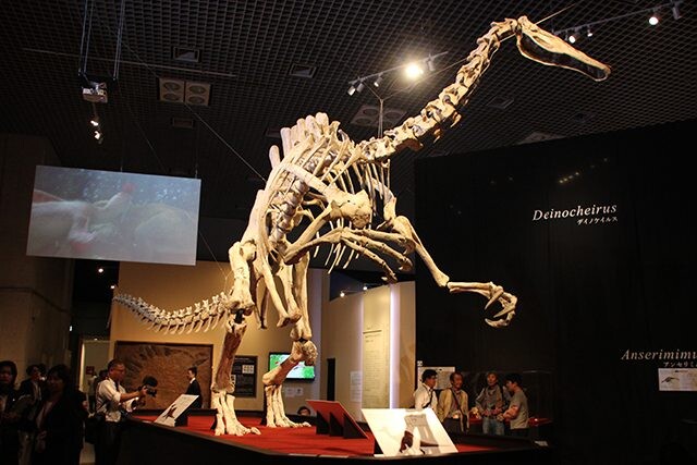 恐竜博2019 The Dinosaur Expo 恐竜博2019 THE DINOSAUR EXPO [図録] | 真鍋真(監修），坂田