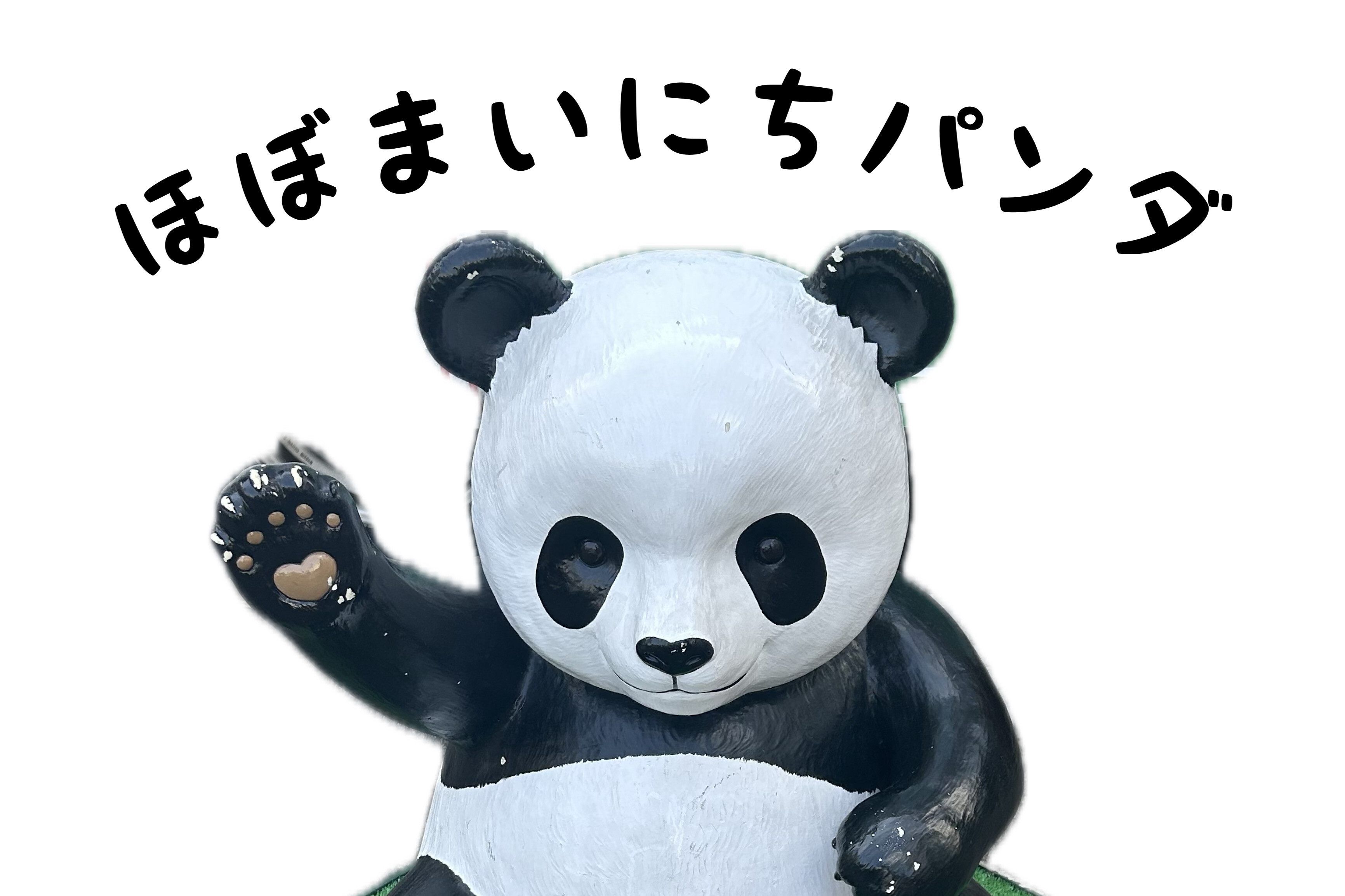 ほぼまいにちパンダ | 上野が、すき。