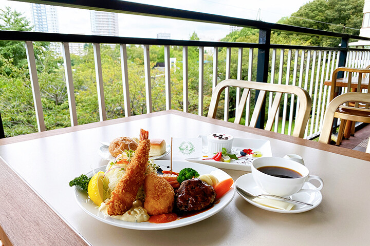 上野 精養軒 本店 カフェラン ランドーレ】美しい景色を眺めながら
