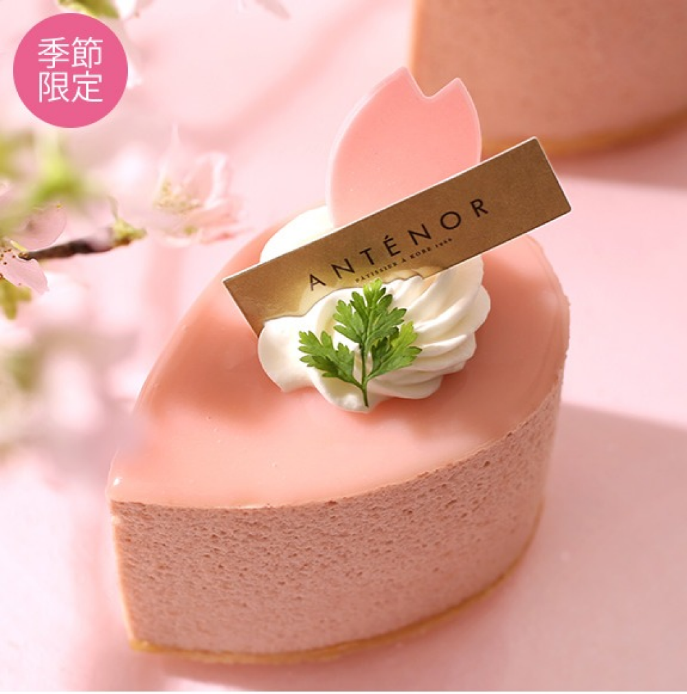 〈アンテノール〉お花見🌸スイーツのご紹介✨