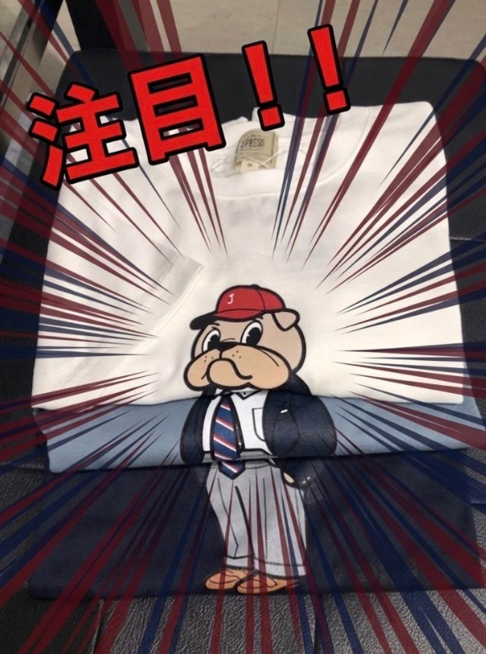 新しい季節をブルドッグボーイと。