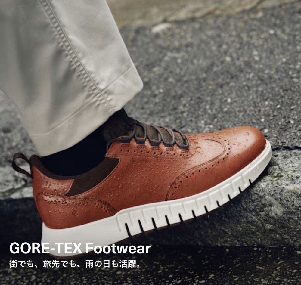 ☆  ❄️ 〈エコー〉《  ECCO GRUUV STUDIO GTX MEN 》👞 