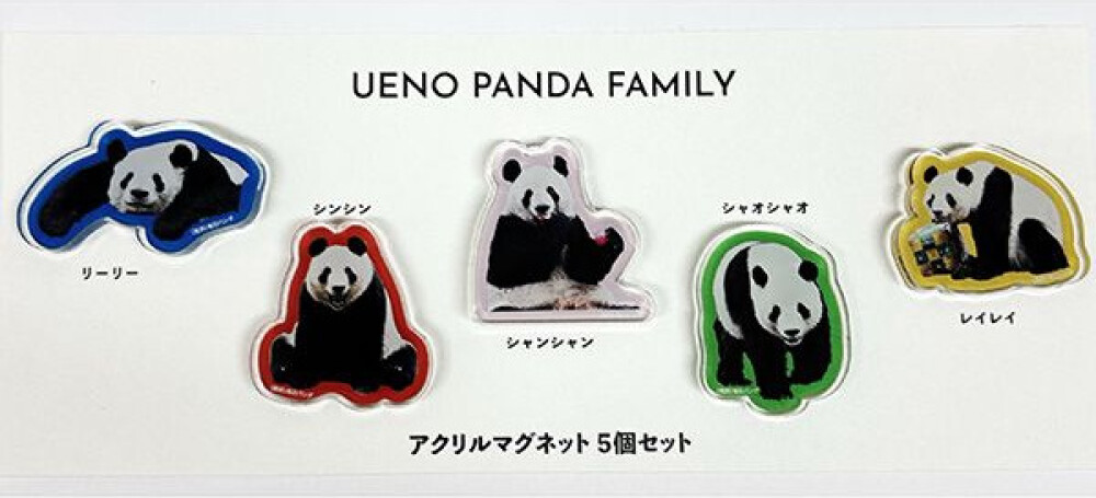 パンダファミリーがマグネットに♪ UENO PANDA FAMILY アクリルマグネットセット登場！