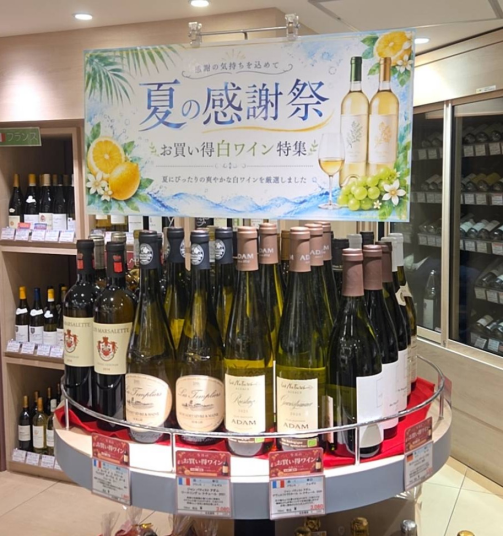 夏の感謝祭開催！爽やかな白ワインを特集！！