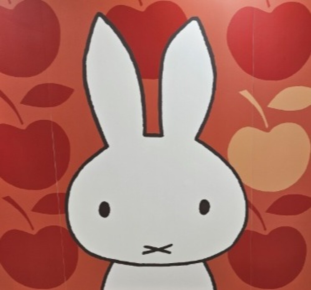 ☆３月１９日（木）～３月３０日までミッフィーZAKKAフェスタ開催中