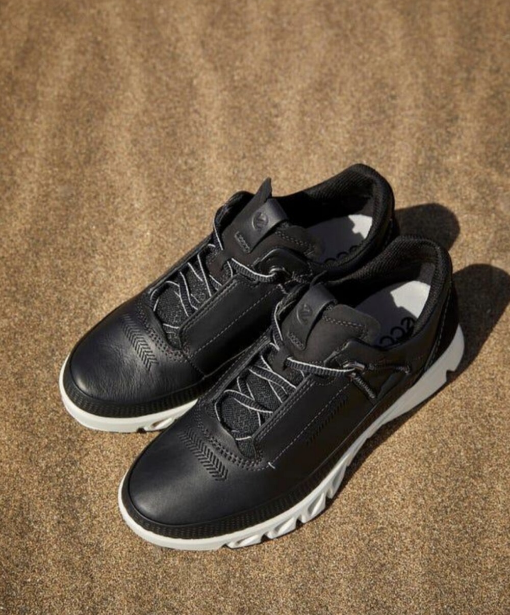   ❄️ 〈エコー〉⛄️ 冬の《 ECCO MULTI - VENT  etc.  》🎄