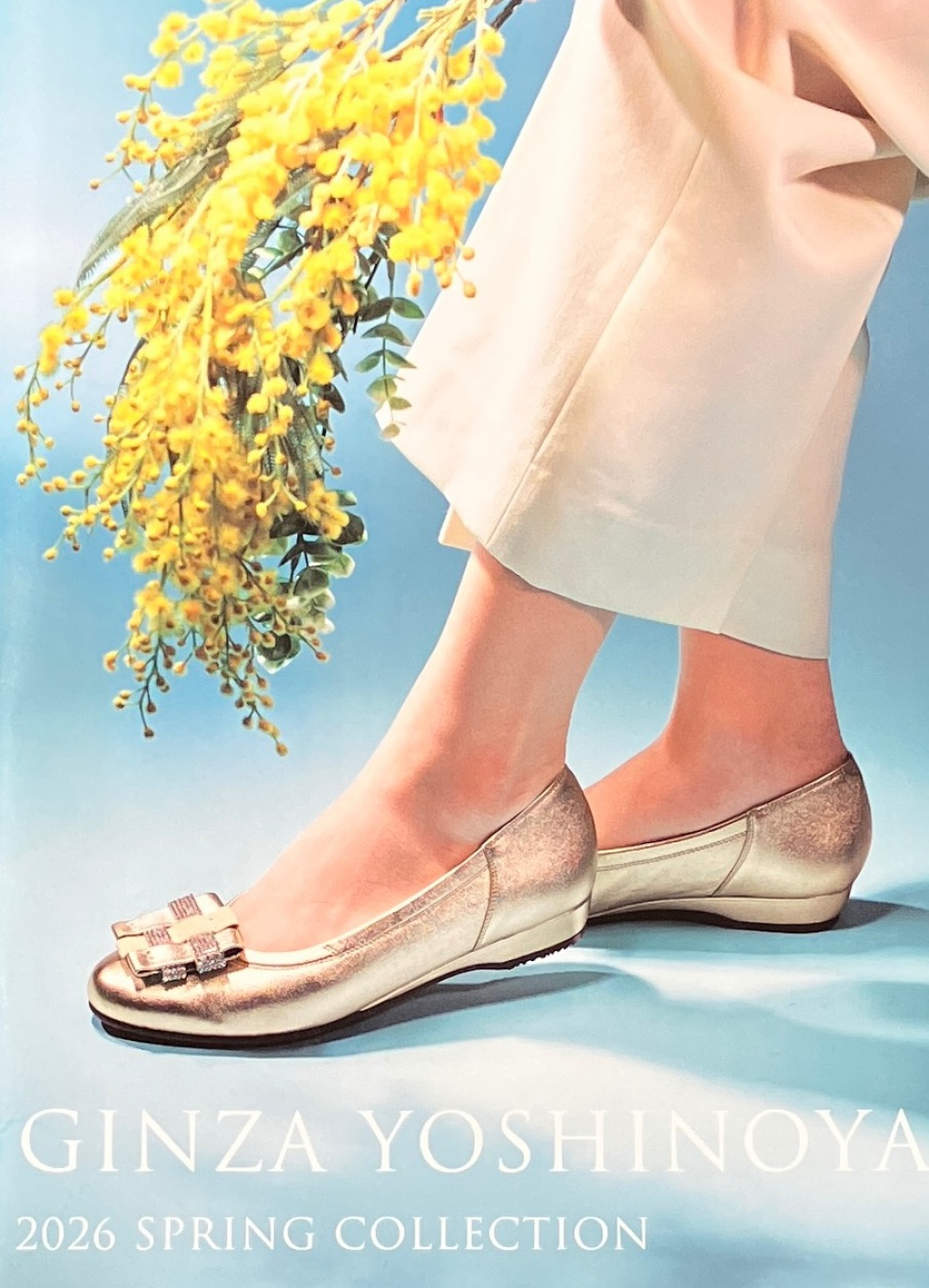 ⭐︎＜銀座ヨシノヤ＞　GINZA YOSHINOYA 2026 SPRING🌸COLLECTION✨