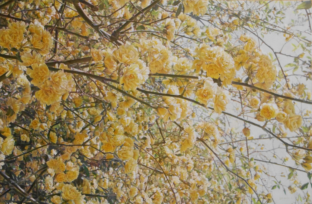 伊藤晴香 洋画展　ー花と空、いのちのひかりー   