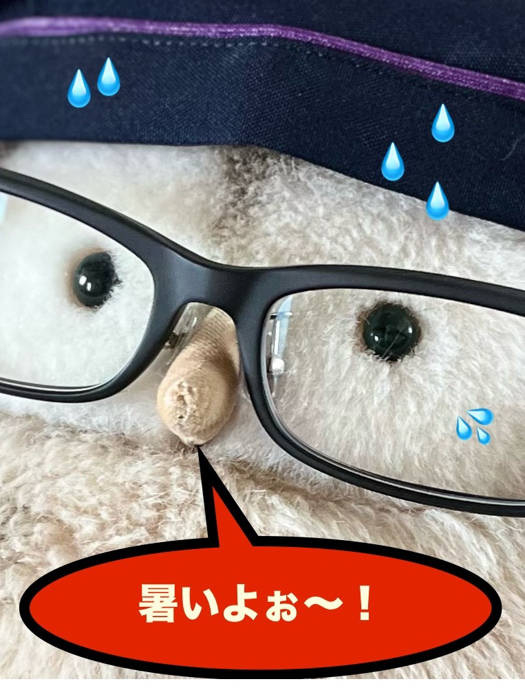 〈銀座鈴屋〉今年も贈りたい！季節限定「氷華ものがたり」