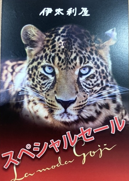 ＜伊太利屋＞　予告　スペシャルセール開催‼️