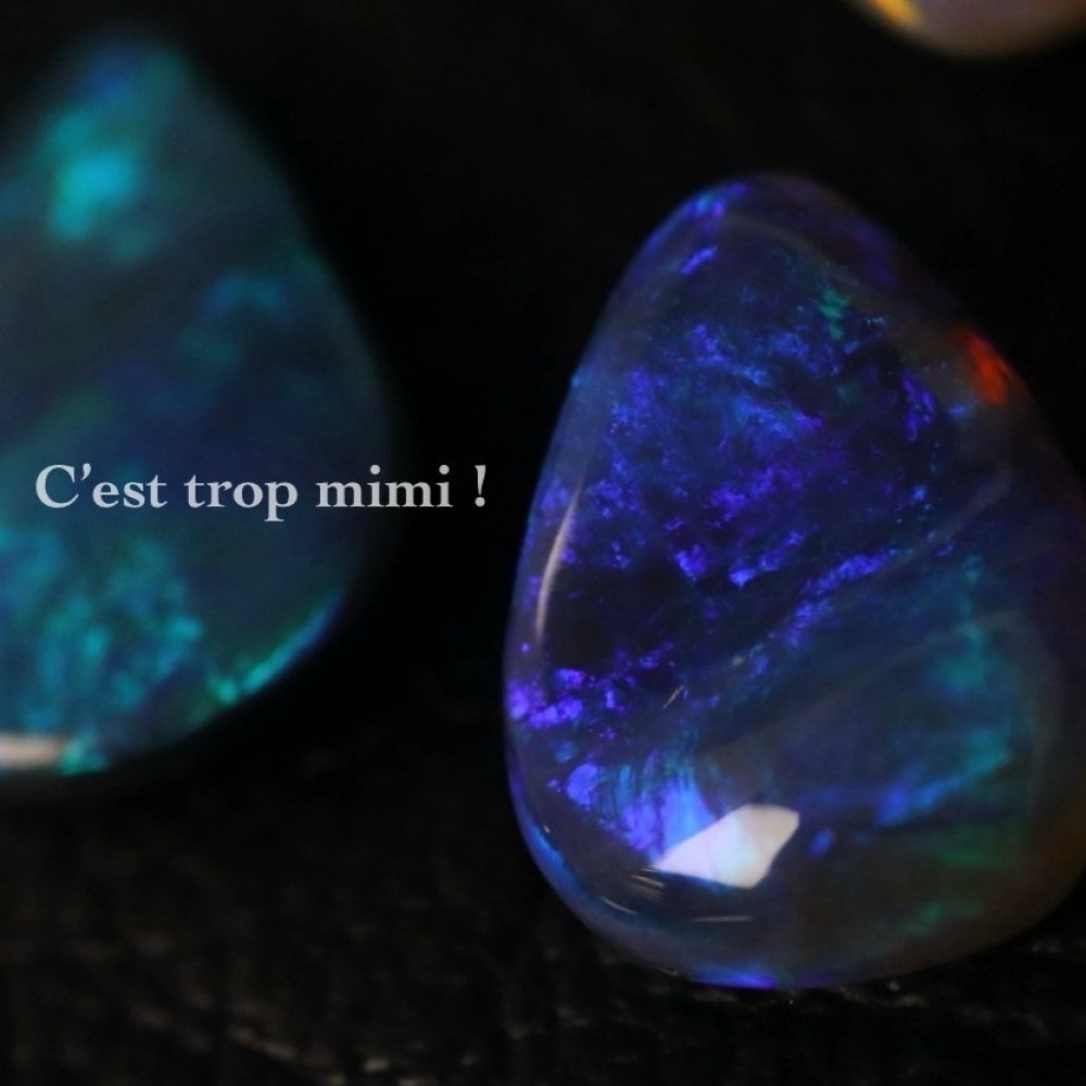 オパールイベント開催　"Cest trop mimi！"