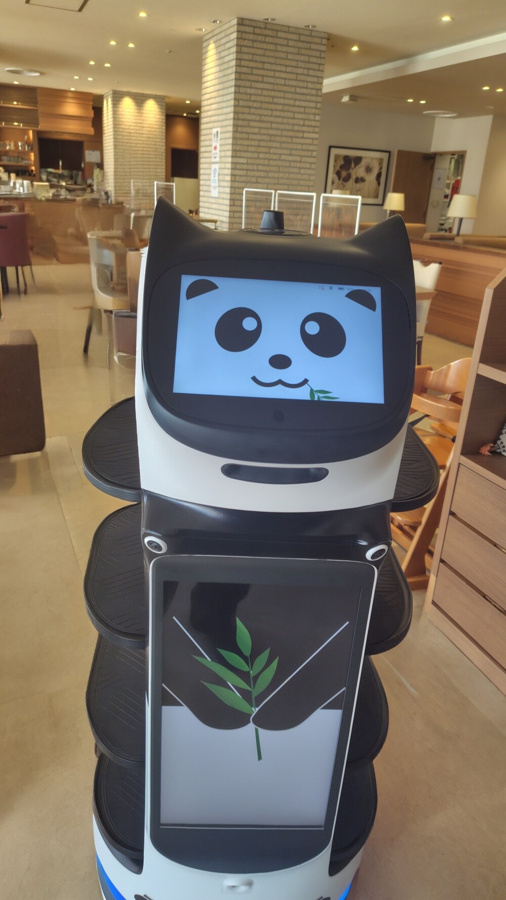 カトレヤの新しい仲間をご存じですか？