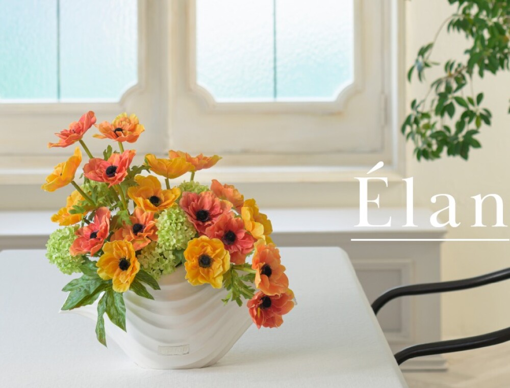 コレクション　アネモネ