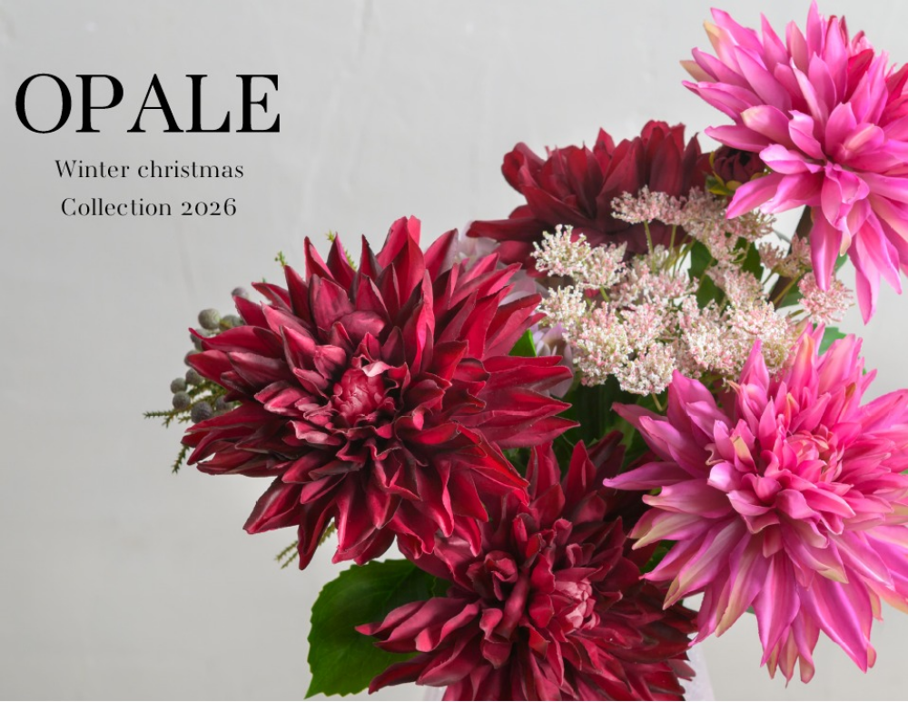OPALE（オパール）