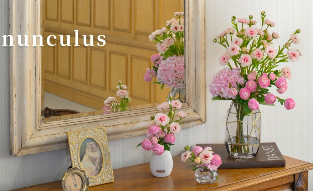 ラナンキュラス・ファレノプシスリップピンク