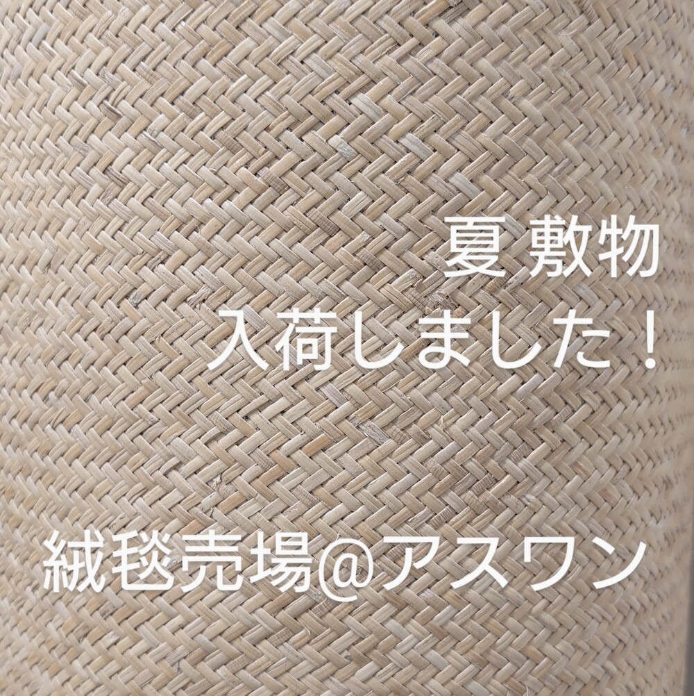 夏敷物 入荷しました！〈アスワン〉