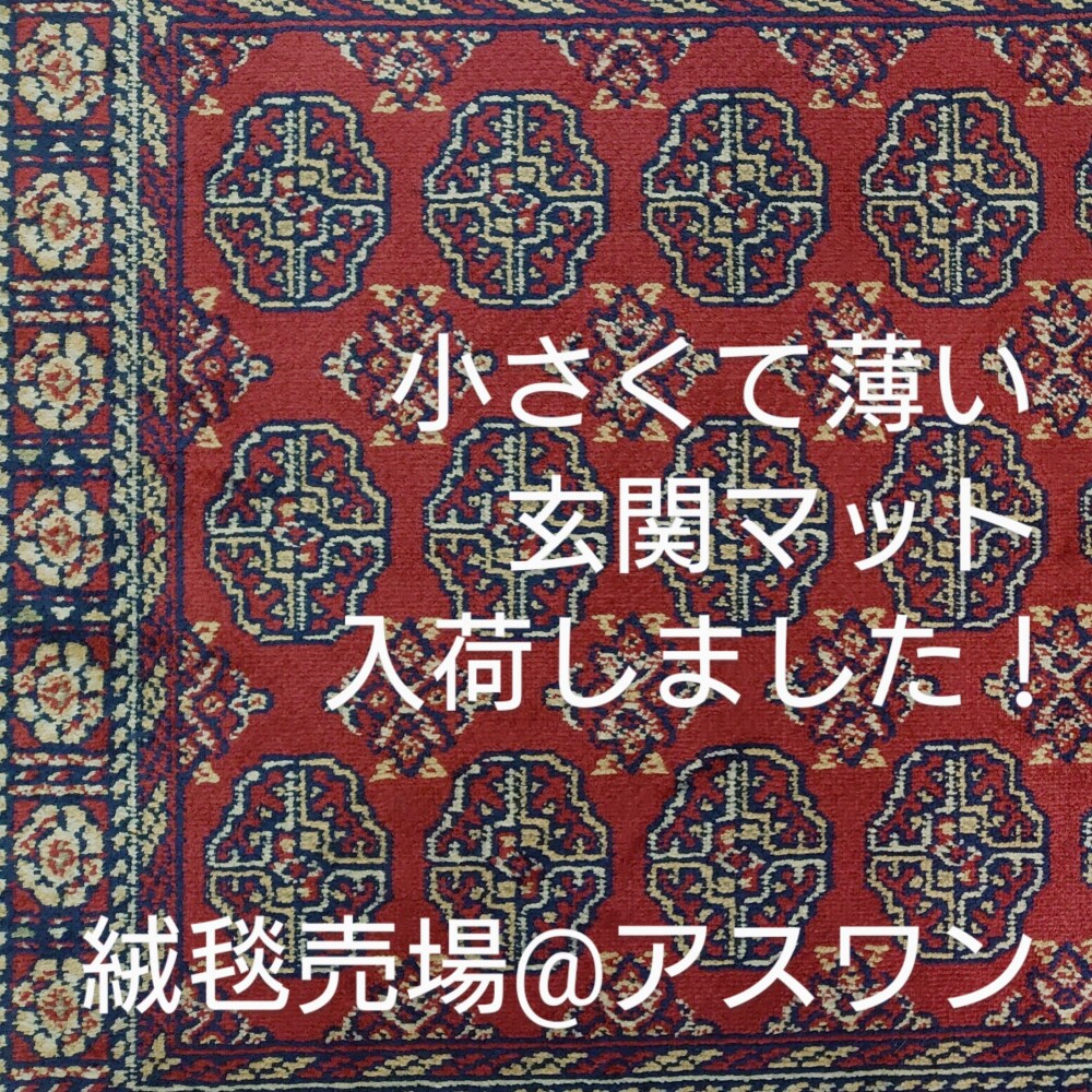 小さくて薄い玄関マット入荷しました♪〈アスワン〉
