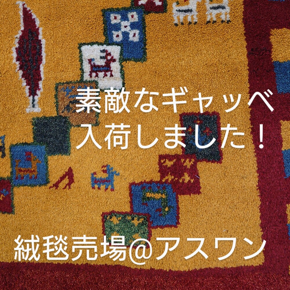 柄配置が珍しいギャッベ 入荷しました！〈アスワン〉