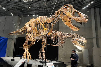 国立科学博物館 特別展「恐竜博2023」内覧会レポート