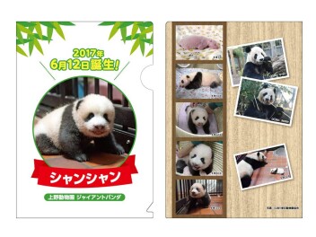 オリジナル フレーム切手セット「上野動物園 ジャイアントパンダ シャンシャン誕生記念」の販売