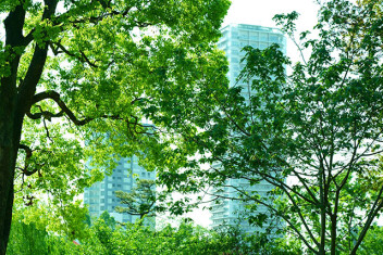 都市のなかの大自然を、身体ぜんぶで楽しむ。 上野恩賜公園新緑ツアー。