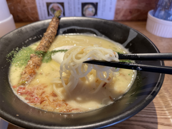 【麺巧 潮 上野製麺所】オンリーワンの洋風鶏白湯に舌鼓を打つ