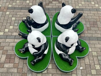 パンダ広場の子パンダたちがぴかぴかになって帰ってきた！