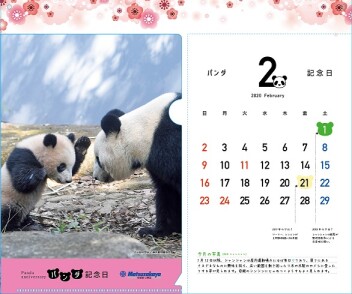 松坂屋上野店「パンダ記念日カレンダー入りクリアファイル」１月は"猫パンチ"？！
