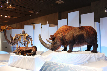 特別展「化石ハンター展 ～ゴビ砂漠の恐竜とヒマラヤの超大型獣～」内覧会レポート