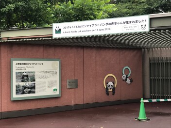 パンダ舎にも